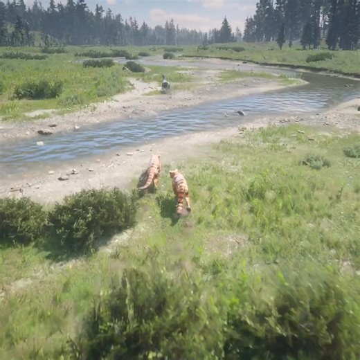 Donkey impossible escape from tigers | Indian Gamer DT