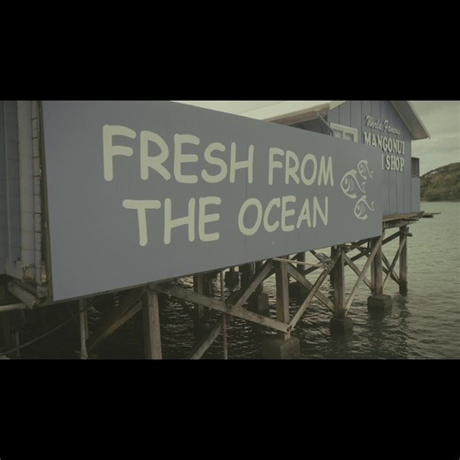Discover NZ's Best Fish and Chip Shop in Doubtless Bay