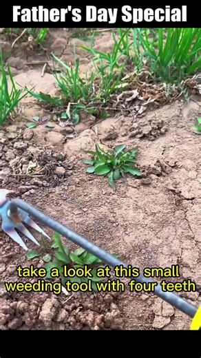 😉Do you still use your hands to dig wild vegetables and pull out weeds? can not only weed but also loosen the soil. It is so convenient!🥦 | Pleteffect.EL17