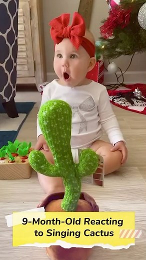 The Mimicking Cactus Toy is not only a fun and engaging toy, but it also offers several educational benefits for children. By encouraging movement and physical activity, the toy promotes gross motor skills development, coordination, and balance. The toy also encourages imaginative play, which is essential for cognitive development in young children. Children can create their own stories and scenarios, using the Mimicking Cactus Toy as a character in their playtime adventures. In addition, the to