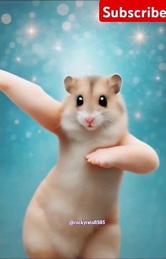Amazing Rat Dance Moves That Will Blow your Mind !