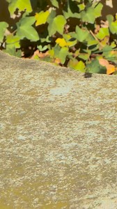 11K views · 73 reactions | Amazing miniature photography #diy #photography #camera | 5-Minute Crafts SHORTS | Facebook