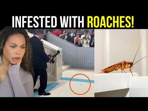 Everyone is talking about the Met Gala...Here's Why!