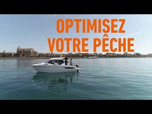 Nouvelles cartographies CMAP MAX N+ Chart