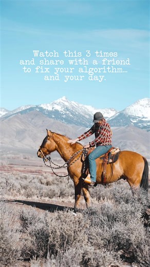 Embracing Mountains and Mustangs