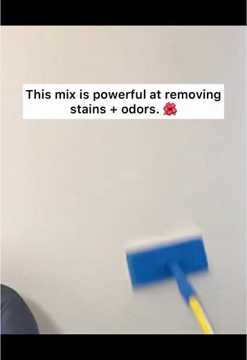 DIY Wall Cleaner: Natural Solution for Spotless Walls