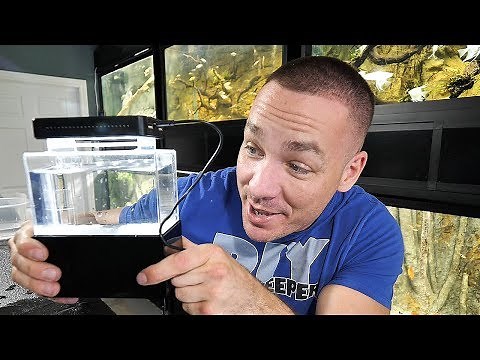 THE SMALLEST AQUARIUM IN THE WORLD!! (REAL) | The King of DIY