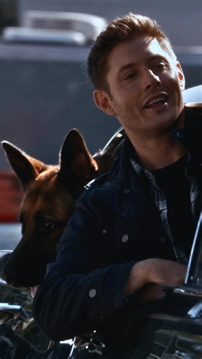 Film & Dizi Moments on Instagram: "Bu bölüm çok iyiydi ya djdjjdjd Özet: Adı üstünde bir doğaüstü drama olan Supernatural Dean ve Sam Winchester kardeşlerin, doğaüstü yaratıklarla verdikleri savaşı konu alıyor. Anneleri bilinmeyen bir varlık tarafından yakılarak öldürülmesi sonucu, babalarıyla beraber avcılık yapmaya başlayan kardeşlerden Sam normal bir hayat sürme isteği ile abisi ve babasını bırakıp üniversiteye gider. Yıllarca ailesinden ayrı yaşayan Sam, abisinden aldığı babasının kayıp oldu