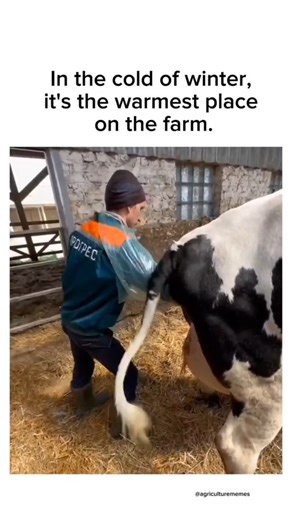 The Warmest Place on the Farm | Agriculture Memes