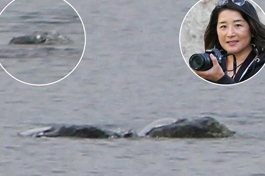 New ‘sighting’ of Loch Ness monster captured in ‘most exciting’ photos ever