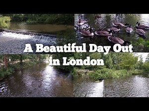 Day Out in London | Morden Hall Park | Nature Walk | National Trust Park With River