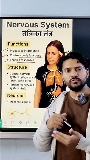 Human Nervous System Explained | Control & Coordination in Humans