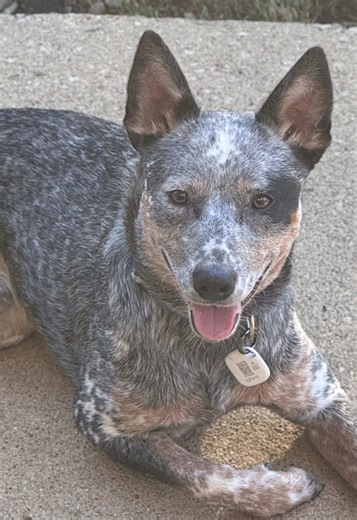Hand Warmers for the Homeless in Chicago