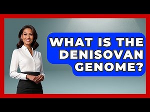 What Is The Denisovan Genome? - Archaeology Quest