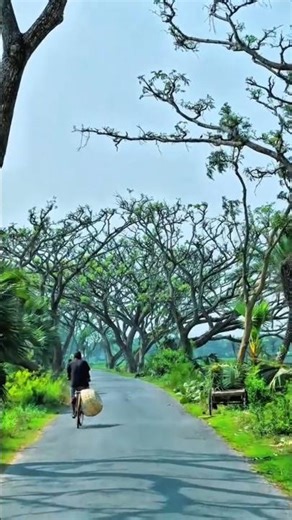 Seet Lehar (Dekh Le) मौका बार बार ना मिलेगा देख ले!! #shorts #haryanvisong