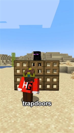 The Illegal Enderman Secret... 🤫 #minecraft