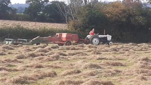 More David Brown baling spam 😀 Aled baling with a David Brown 780 with the New Holland 274 baler and a cooks bale accumulator. The little Davy flying through the hay and the baler eating up the hay like she does. | Dafydd Roberts