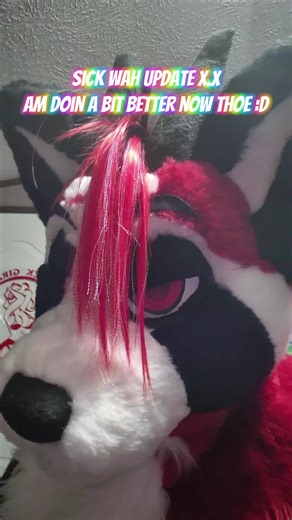 The Fkn Panda on TikTok