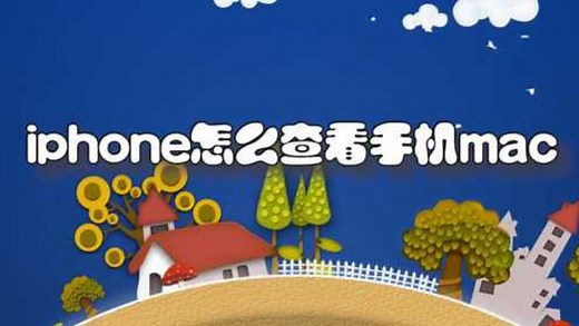 苹果手机怎么查看mac地址？