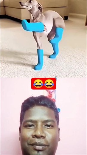 Funniest Fails of All Time 🤦‍♀️😂 | Crazy Fails Compilation #funnyfails #viral #shorts