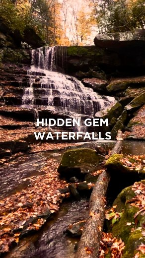 10K views · 252 reactions | Check out these 5 hidden gem waterfalls this fall. 朗 : Falls of Hills Creek, Mill Creek Falls of Kumbrabow, High Falls of Cheat, Laurel Creek Falls, Drawdy Falls | West Virginia Tourism | Facebook