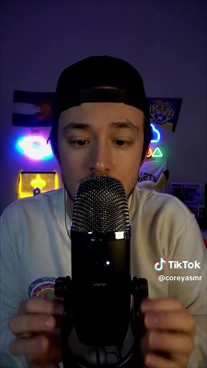 Spider ASMR: Fast and Chaotic Spider Sounds for Relaxation