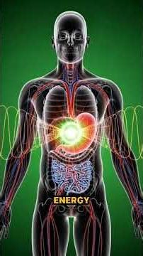 What Happens Inside Your Body When You Eat Fast Food 🍔 | 3D Animation #usa #fyp #viral