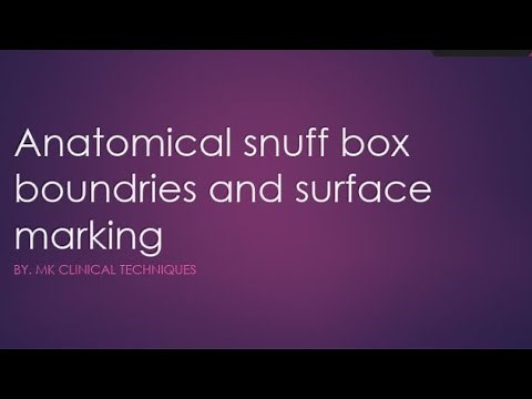 anatomical snuff box boundaries||surface marking of anatomical snuff box