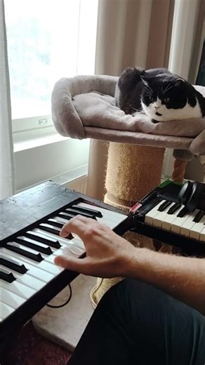 Composing With a Cat 🐱🎹