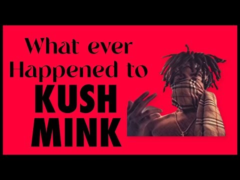 KUSH MINK - WHAT EVER HAPPENED TO KUSH MINK? #EP8