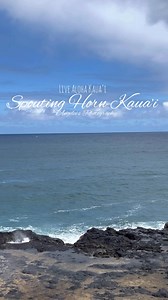 6 Spouting Horn - Hawaii Travel Guide Spouting Horn on Kauai's south shore near Poipu is a natural lava tube blowhole where waves force water through, shooting powerful spouts up to 50 feet in the air, accompanied by a unique roaring sound that legends attribute to a trapped giant lizard (mo'o). It's an easily accessible, scenic spot with parking, restrooms, and nearby artisan stalls, offering spectacular views, especially at high tide, during sunset, and for whale watching (Dec-May). | LIVE ALO