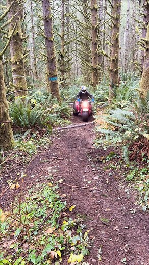 1.9M views · 9.5K reactions | 3 wheels 欄 3 times the vibe ️: Carson Brown | Red Bull | Facebook