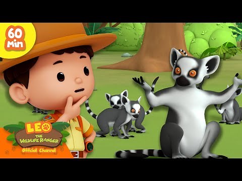 What are the Lemurs Doing?! 😝 | Funny Animals! 🤣 | Leo the Wildlife Ranger | Kids Cartoon