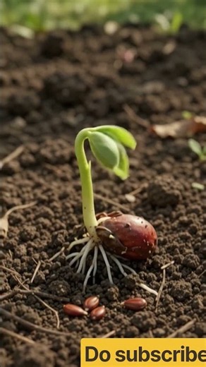 From Apple to Apple Tree to Apple Again! 🍎🌱 | Amazing Life Cycle