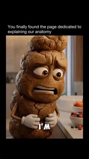 KNOW YOUR BODY 🧬🧠🫀 on Instagram: "Hard, dry poops are usually small, lumpy, or cracked. These happen when your body pulls too much water from stool, often from dehydration, low fiber, or holding it in too long. They can be painful to pass and may cause straining or discomfort, signaling your digestion is moving too slowly. Soft, smooth poops are considered ideal and healthy. They’re easy to pass and show good hydration and fiber intake. Wet, loose, or watery poops happen when digestion moves 
