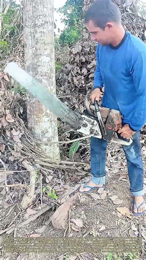 Forging Failure: When a Chainsaw Meets Its Ancestor