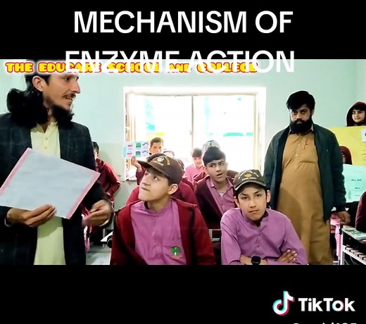 Understanding the Mechanism of Enzyme Action
