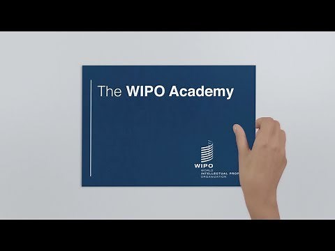 What is the WIPO Academy ?