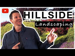 HOW TO Landscape Design HILLSIDE with NO RETAINING WALLS!!!