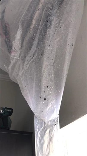 Cleaning-Mini Split Indoor Unit #hvac #hvaclife #hvactechnician #hvacairsystem #minisplit #lennox