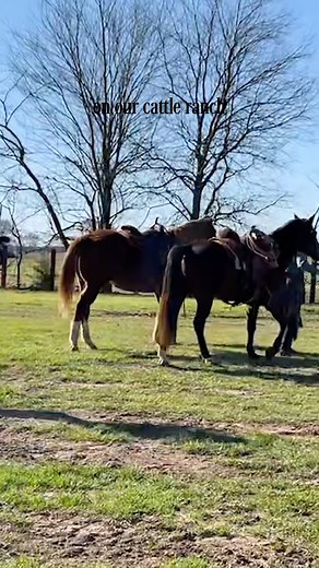 121K views · 2.8K reactions | Here's some behind-the-scenes details from the Cowboys In Heaven Music video! If you haven't had a chance to watch it yet, take a look! #cowboysinheaven #countrymusic #newmusicvideo https://youtu.be/yzUsQPoelrg?feature=shared | Clay Walker | Facebook
