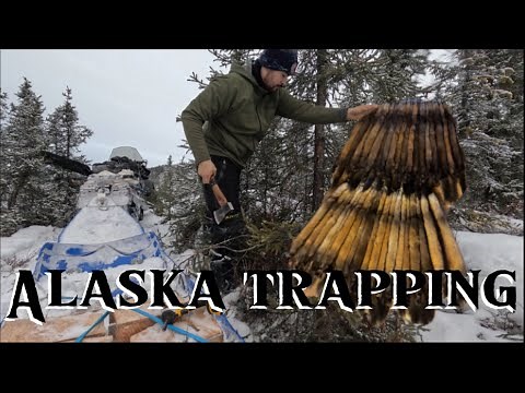 How I Trap for Marten in Alaska