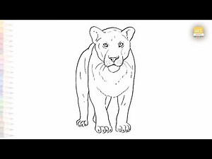 Lioness drawing easy 01 | Wild animal drawing tutorial | How to draw Lioness step by step #artjanag