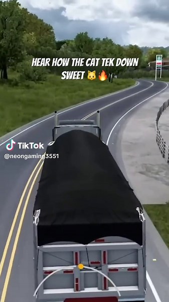 Neon Gaming3551 on TikTok