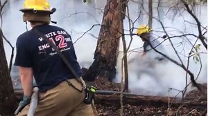 Firefighters battle brush fire along Northwest Branch Trail in Silver Spring
