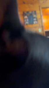 What I get to come home to every night after work! 🥰 Always happy to see me! | Amanda Rowland