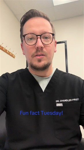 Fun Fact Tuesday! Come back for more fun facts each week! #ntchiropractic #trendingvideo #chiropractortiktok #dentontx #funfact