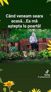 12K views · 472 reactions | Iubiți -vă mult ! Seară frumoasă dragilor 勺 | Ildiko Marton | Facebook