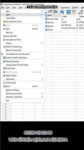 Excel’den SPSS’e Veri Aktarma Nasıl Yapılır?