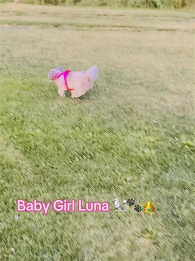 princessluna415 on TikTok